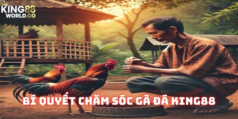 bí quyết chăm sóc gà đá