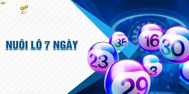 nuôi lô 7 ngày